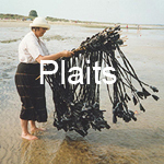 Plaits